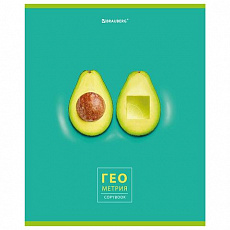 Тетрадь предметная AVOCADO 48л, глянцевый лак, ГЕОМЕТРИЯ, клетка, подсказ, BRAUBERG, 404278/Россия