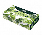 Салфетки вытяжные Master Fresh  в кор, 100 шт  2сл. 1/7