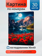 Холст с красками 30х40 см по номерам в коробке (30цв.) Красные маки в ночи (арт. ХК-5237)/Рыжий кот